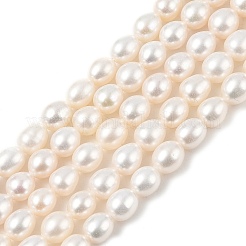 Natural Cultured Freshwater Pearl Beads Strands&nbsp;PEAR-I007-01D-02A