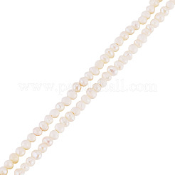 1 Strand Natural Cultured Freshwater Pearl Beads Strands&nbsp;PEAR-TA0001-48