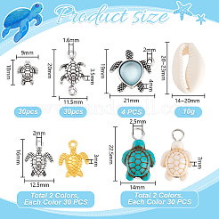DIY Turtle Findings Kits&nbsp;FIND-PH0027-78