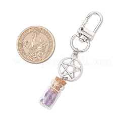 7 Chakra Natural Lapis Lazuli & Amazonite & Amethyst & Citrine & Green Aventurine & Rose Quartz & Red Aventurine Chips inside Glass Wishing Bottles Pendant Decorations&nbsp;HJEW-JM03152