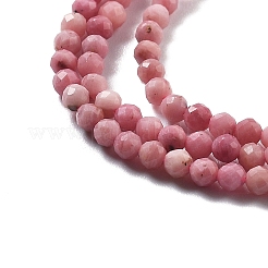 Natural Rhodonite Beads Strands&nbsp;G-H080-B02-02