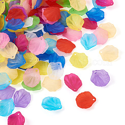 500Pcs 10 Colors Transparent Frosted Acrylic Pendants&nbsp;MACR-YS0001-03