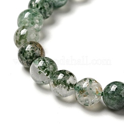 Natural Fuchsite Beads Strands&nbsp;G-K285-40A-1