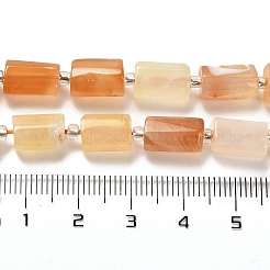 Natural Orange Botswana Agate Beads Strands&nbsp;G-N327-06-31