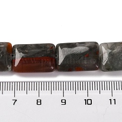 Natural African Bloodstone Beads Strands&nbsp;G-T047-B06-01