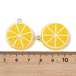 Fruit Theme Spray Painted Opaque Resin Pendants&nbsp;RESI-F061-02D