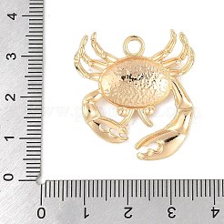 Brass Pendants&nbsp;KK-R219-19G