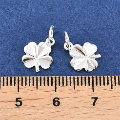 Brass Charms&nbsp;KK-G257-02S-RS