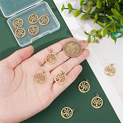304 Stainless Steel Pendants&nbsp;STAS-UN0060-03G