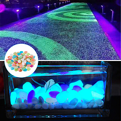 1 Set Resin Luminous Glow in the Dark Pebbles Stone&nbsp;DJEW-CN0001-40A