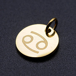 201 Stainless Steel Charms&nbsp;STAS-T049-T644-4G