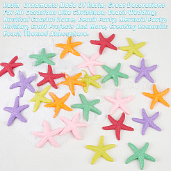 30Pcs 6 Colors Opaque Resin Cabochons&nbsp;AJEW-GF0013-81