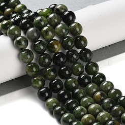 Natural Green Diopside Beads Strands&nbsp;G-NH0031-01B