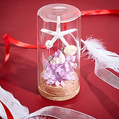 Empty Glass Jar&nbsp;AJEW-WH0083-46A