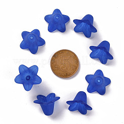 Transparent Acrylic Beads&nbsp;PLF018-10