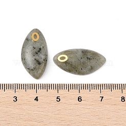 Natural Labradorite Pendants&nbsp;STAS-P380-80G-03
