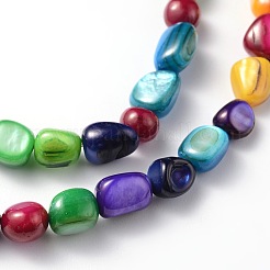 Natural Shell Beads Strands&nbsp;BSHE-D004-7
