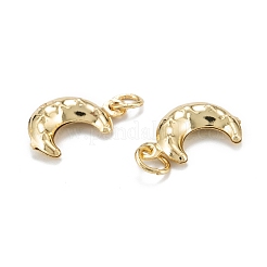Brass Charms&nbsp;KK-C216-02G