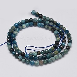 Round Natural Apatite Beads Strands&nbsp;G-K068-02-4mm