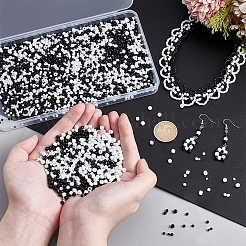 6 Styles Glass Seed Beads&nbsp;SEED-PH0002-59