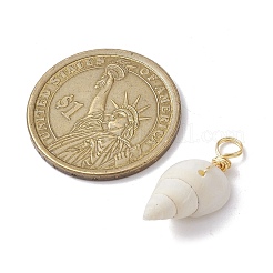 Spiral Shell Pendants&nbsp;PALLOY-JF02492-01