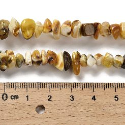 Natural Amber Beads Strands&nbsp;G-L095-N01-02