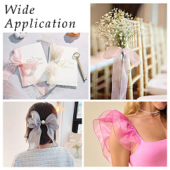 Polyester Organza Ribbon&nbsp;TAC0006-01B