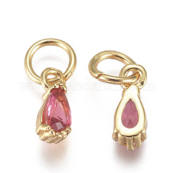 Brass Micro Pave Cubic Zirconia Charms&nbsp;ZIRC-F111-04G-02