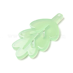 Opaque Acrylic Pendants&nbsp;LS-OACR-H047-02A-02