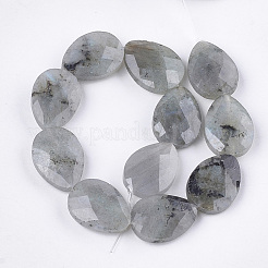 Natural Labradorite Beads Strands&nbsp;G-S354-07