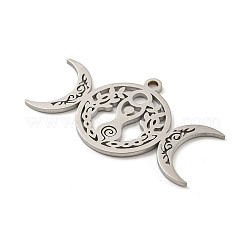 Non-Tarnish 304 Stainless Steel Pendants&nbsp;STAS-P342-05P