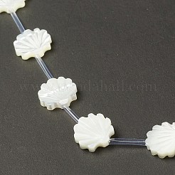 Natural Trochid Shell/Trochus Shell Beads&nbsp;BSHE-B005-05