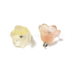 Glass Charms&nbsp;GLAA-G127-03