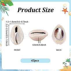 43Pcs Natural Cowrie Shell Beads&nbsp;SSHEL-PH0001-47