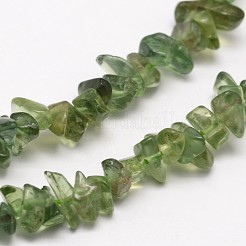 Chips Natural Green Apatite Beads Strands&nbsp;X-G-N0164-26