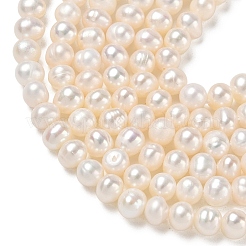 Natural Cultured Freshwater Pearl Beads Strands&nbsp;PA-CBAC463-08