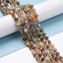 Natural Botswana Agate Beads Strands&nbsp;G-P463-08