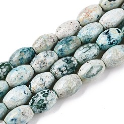 Natural Agate Beads Strands&nbsp;G-T138-180J