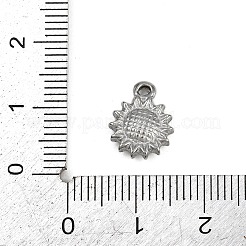 304 Stainless Steel Charms&nbsp;LS-STAS-G363-12P