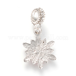 Alloy European Dangle Charms&nbsp;X-MPDL-S054-M