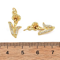 Brass Micro Pave Clear Cubic Zirconia Pendants&nbsp;KK-F941-35B-G