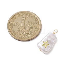 ABS Plastic Imitation Pearl Pendants&nbsp;PALLOY-JF02600-03