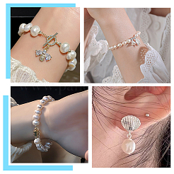 1 Strand Grade AA Natural Cultured Freshwater Pearl Beads Strands&nbsp;PEAR-BBC0001-15