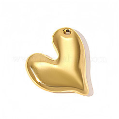304 Stainless Steel Pendants&nbsp;STAS-OY010-59G