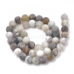 Natural Bamboo Leaf Agate Beads Strands&nbsp;G-T106-028