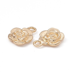 Rack Plating Brass Pendants&nbsp;KK-G455-16G