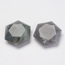 Natural Labradorite Pendants&nbsp;G-P264-01