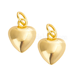 2Pcs 925 Sterling Silver Pendants&nbsp;STER-PH0002-10