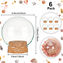 6 Sets Glass Dome Cover&nbsp;DJEW-BC0001-10