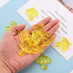 Transparent Acrylic Pendants&nbsp;TACR-T024-01B-916